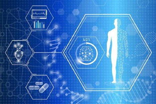 智能养老 人工智能软件驱动下的银发经济新蓝海